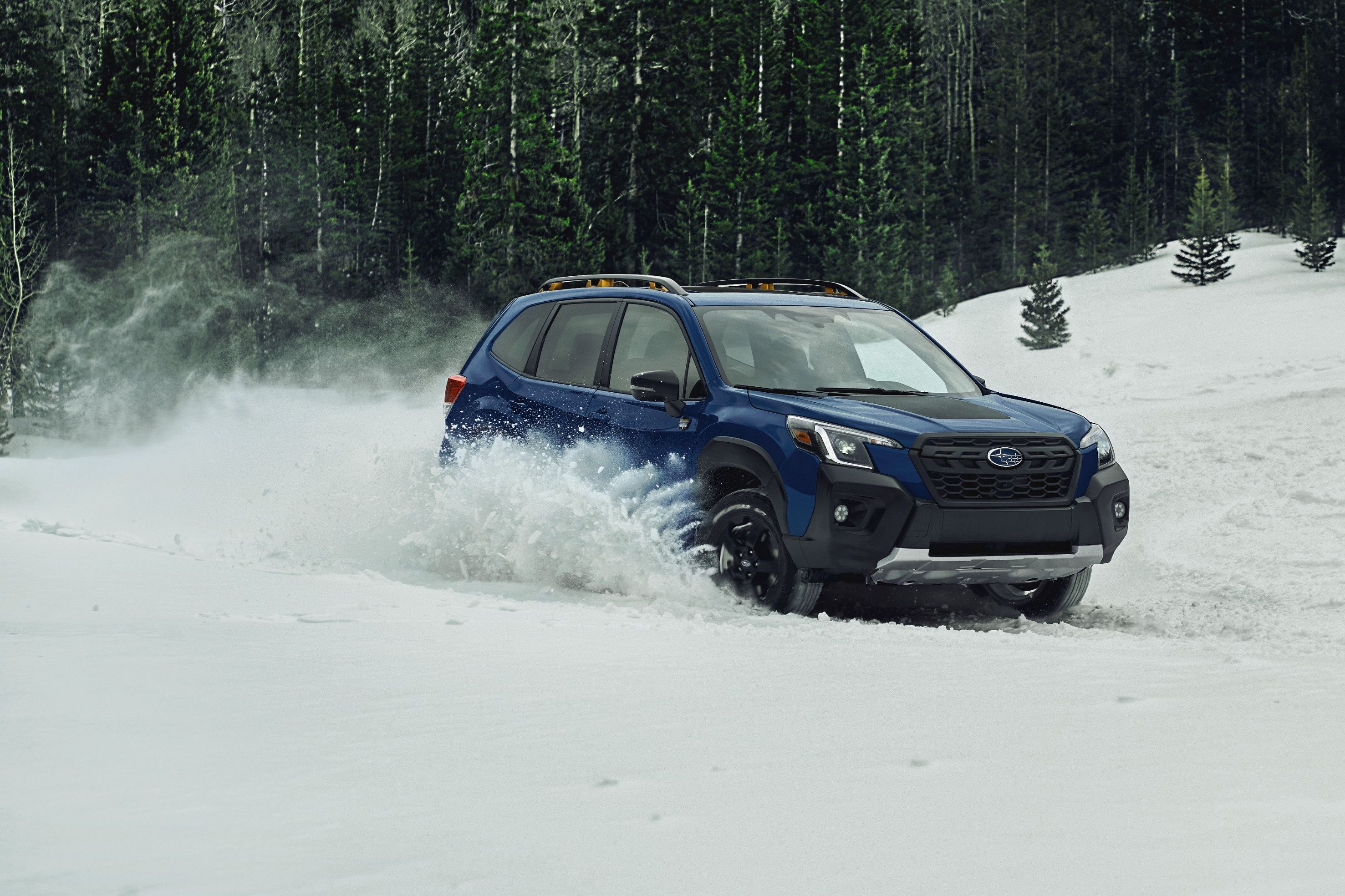 Subaru Forester Generations: Key Updates Across All Model Years