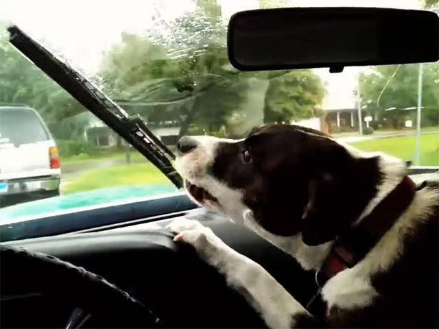 10 Automotive Features That You Take For Granted