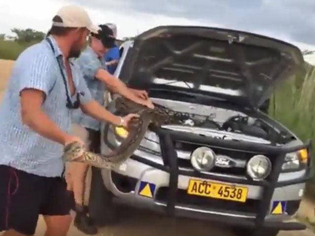 A Massive Python Hiding Under Your Hood Is The Ultimate Engine Problem