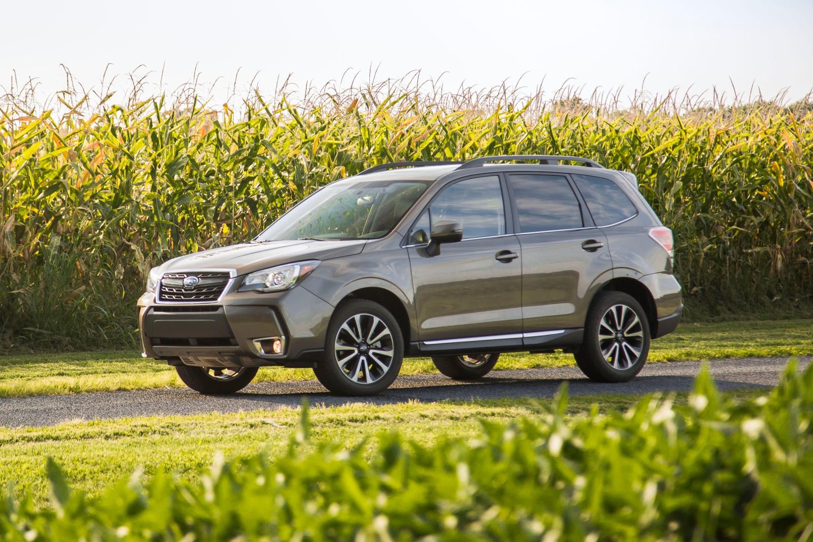 Subaru Forester Generations: Key Updates Across All Model Years