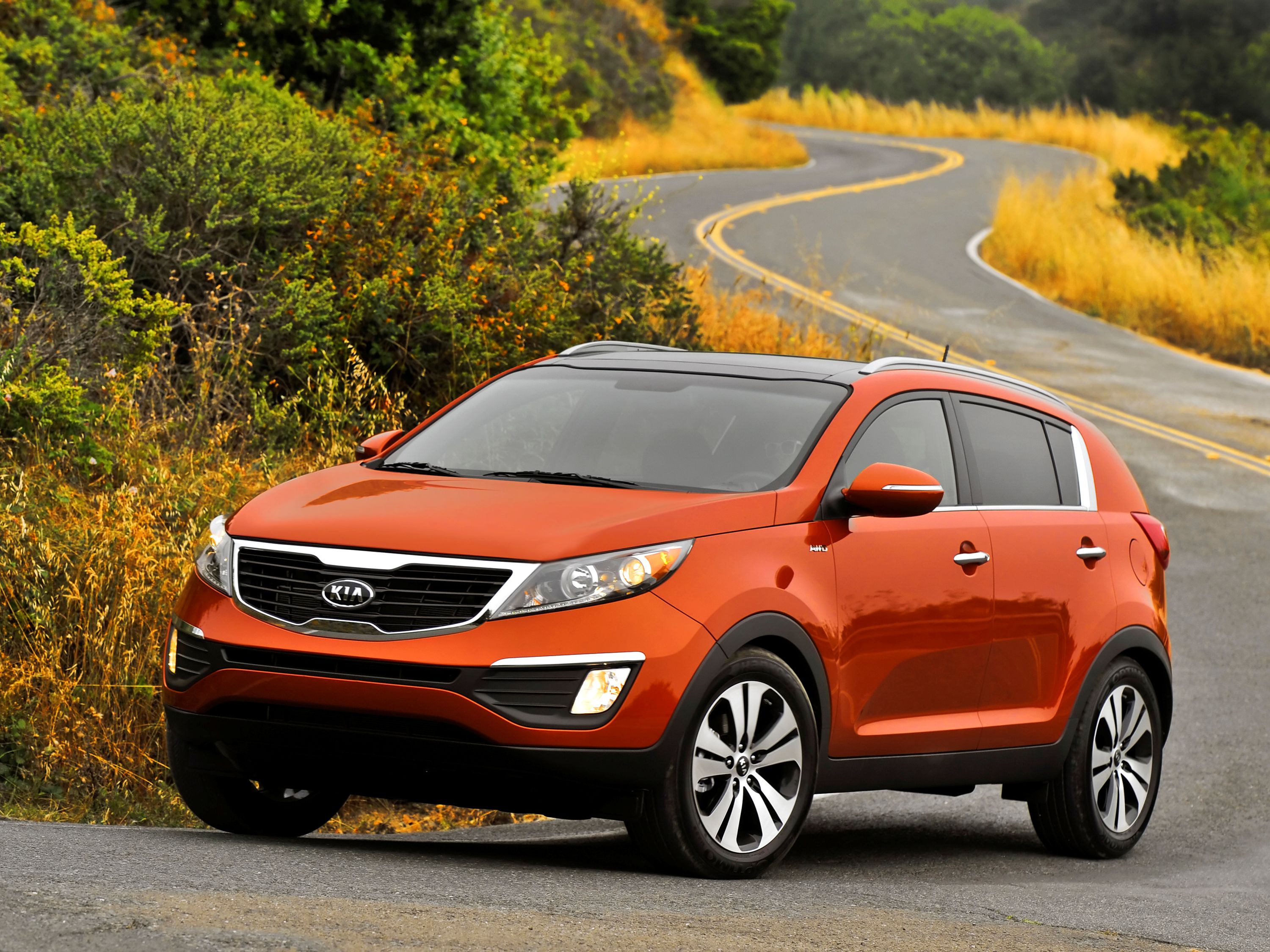 Korean Underdogs To Household Names: The Evolution Of Kia And Hyundai