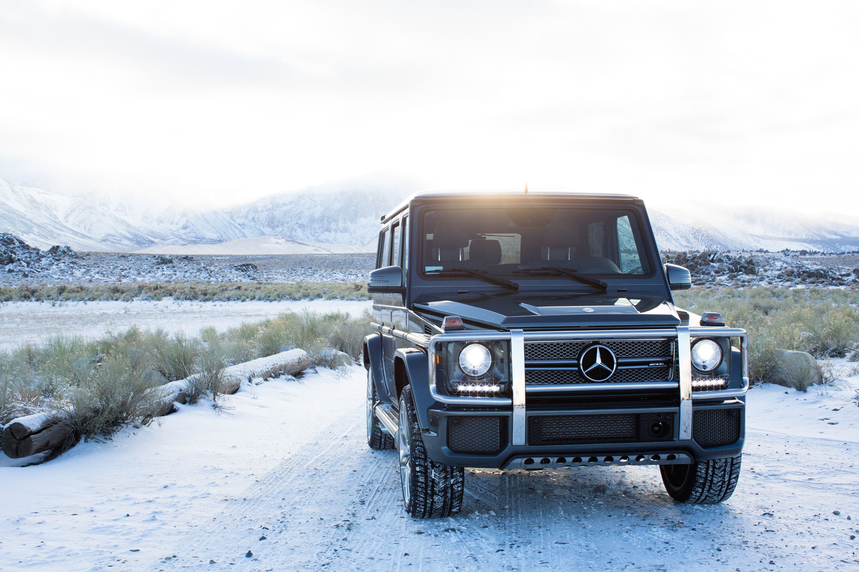 2018 Mercedes-AMG G65 Pricing, Photos & Specs