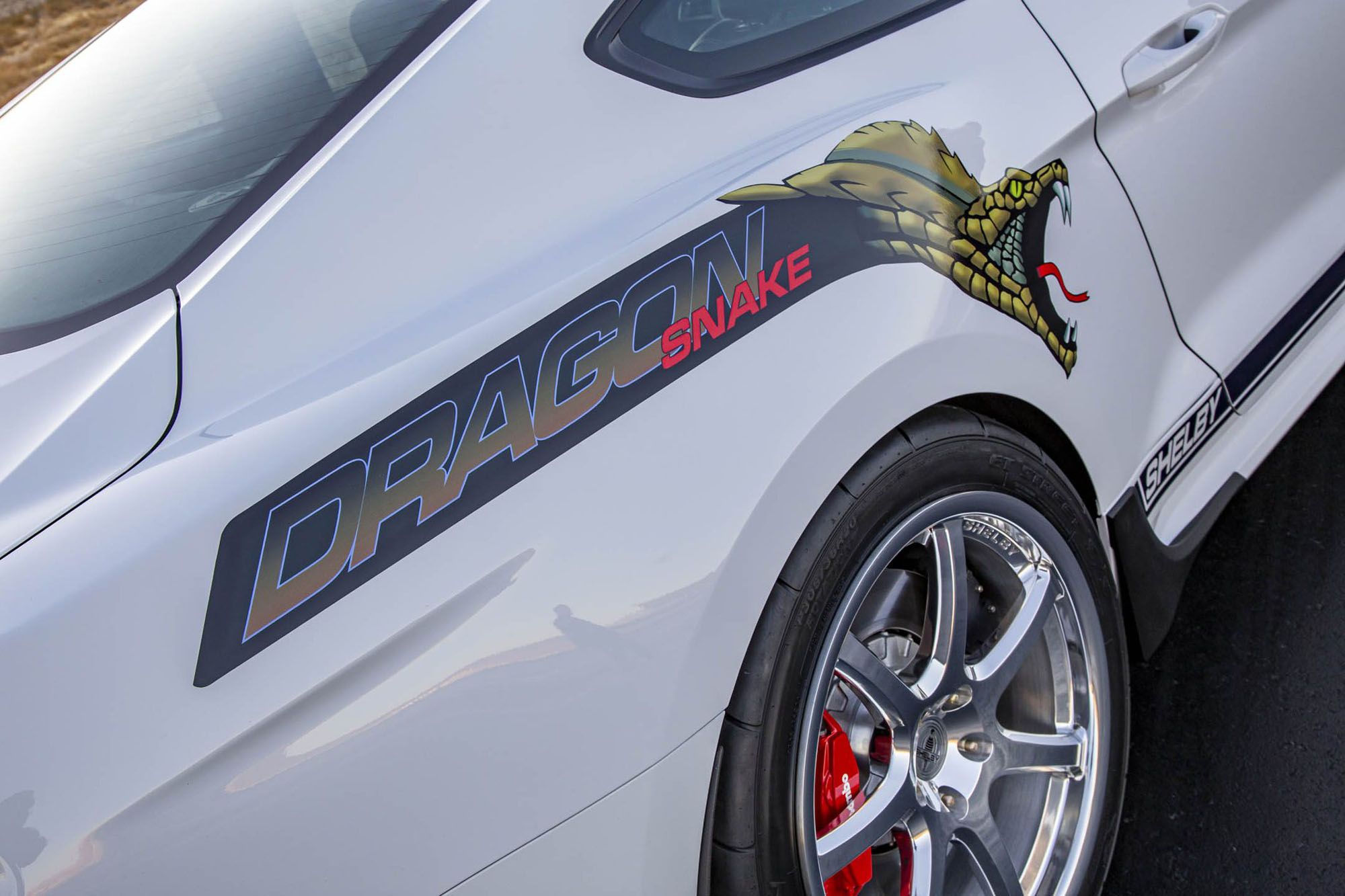 Shelby Dragon Snake Is A 800-HP GT500 Drag Racer