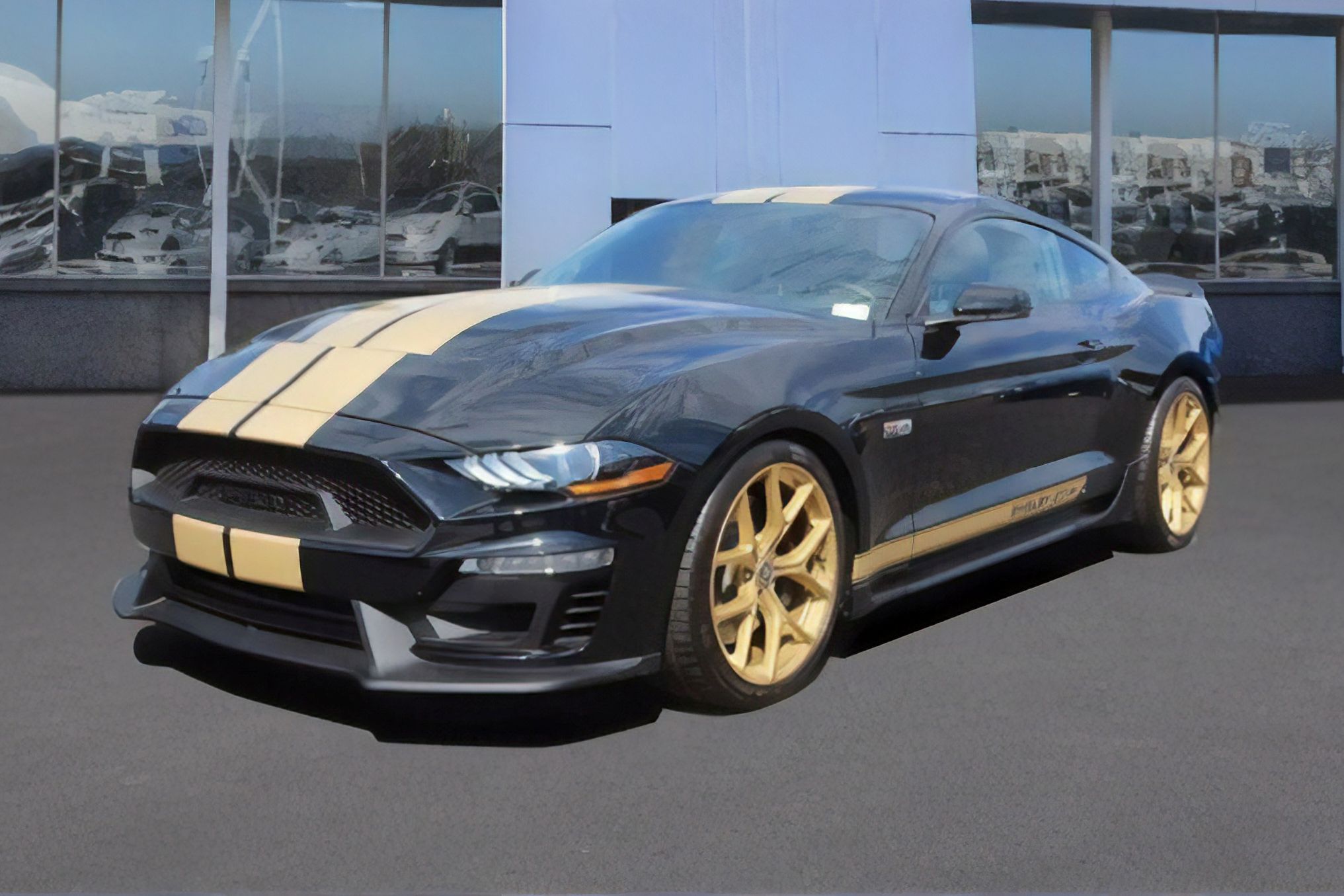 Rare 2019 Shelby Gt-h Gets A Significant Discount