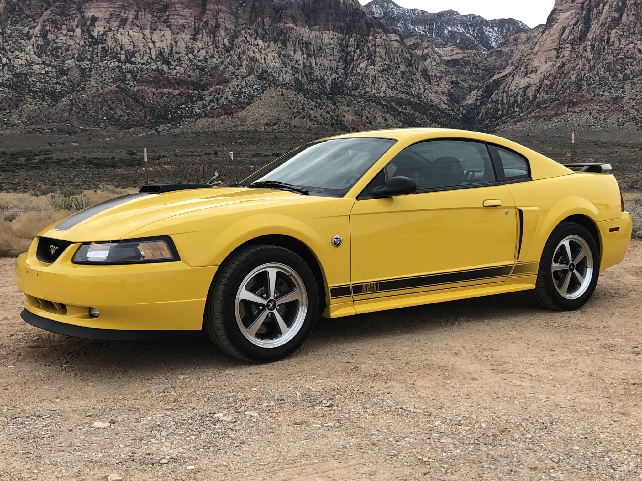 Unlike The Mach-E, This Mustang Mach 1 Is Pure V8 Power