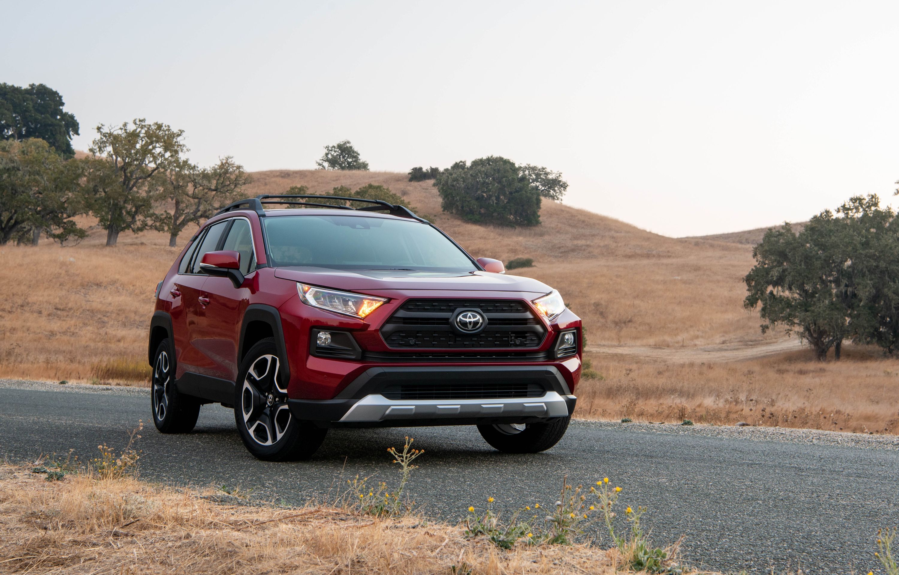 2020 Toyota RAV4 Pricing, Photos & Specs