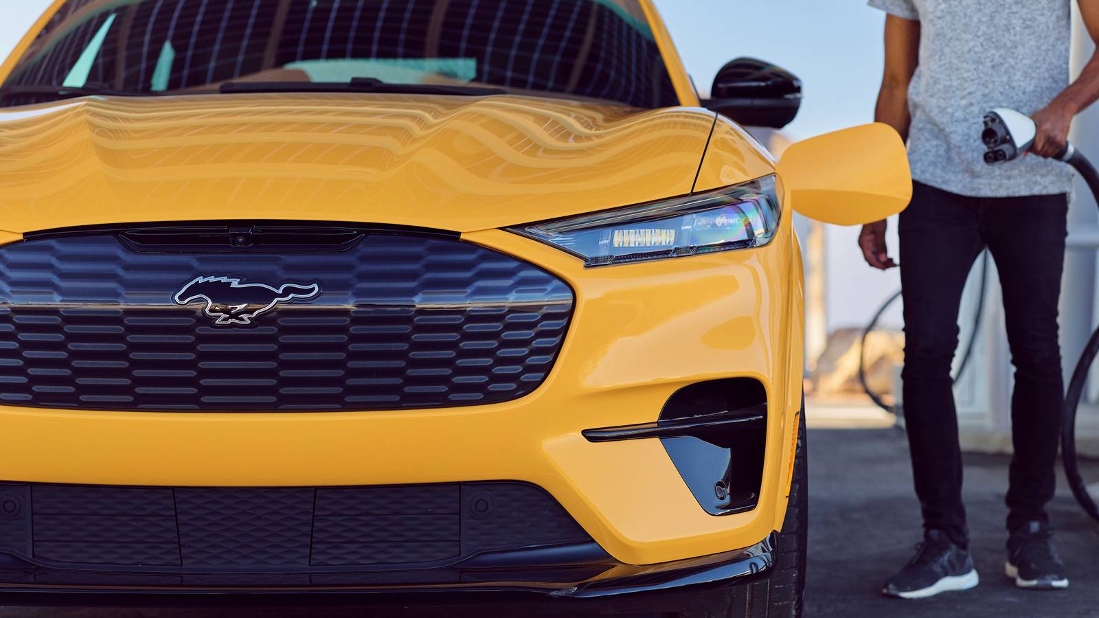 Ford's New Global Survey Reveals Fascinating Findings
