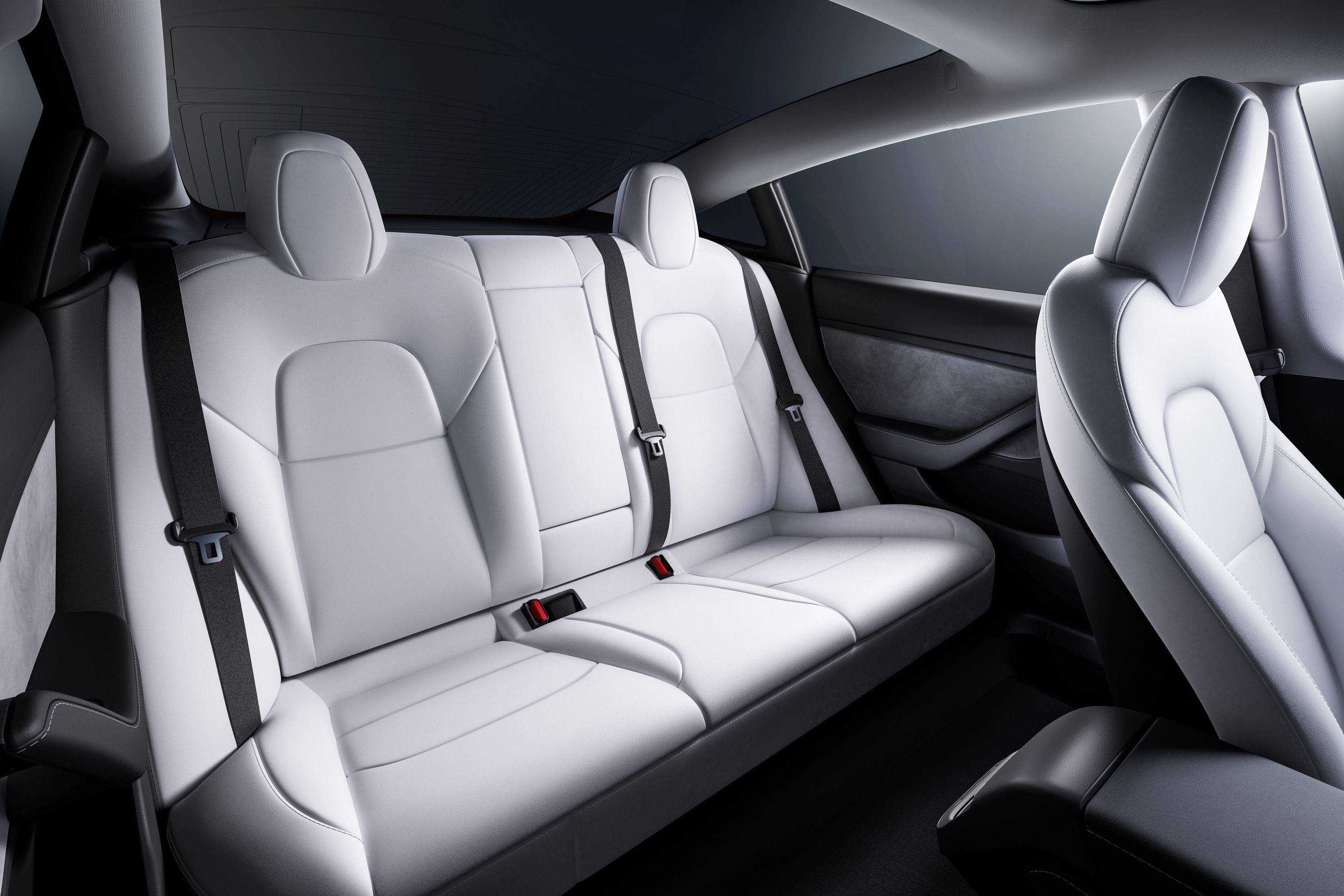 2020 Tesla Model 3 Interior Photos