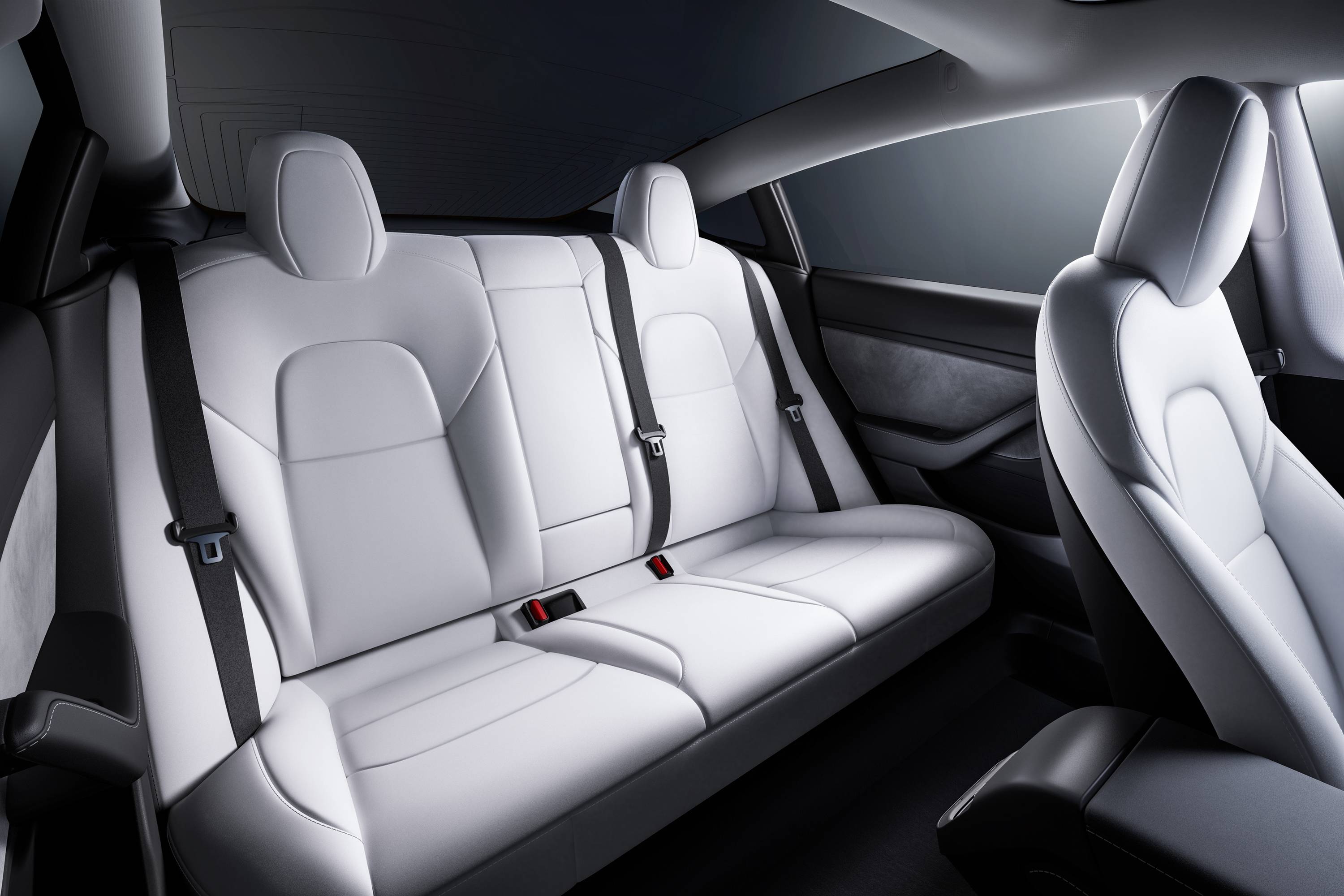 2020 Tesla Model 3 Interior Photos