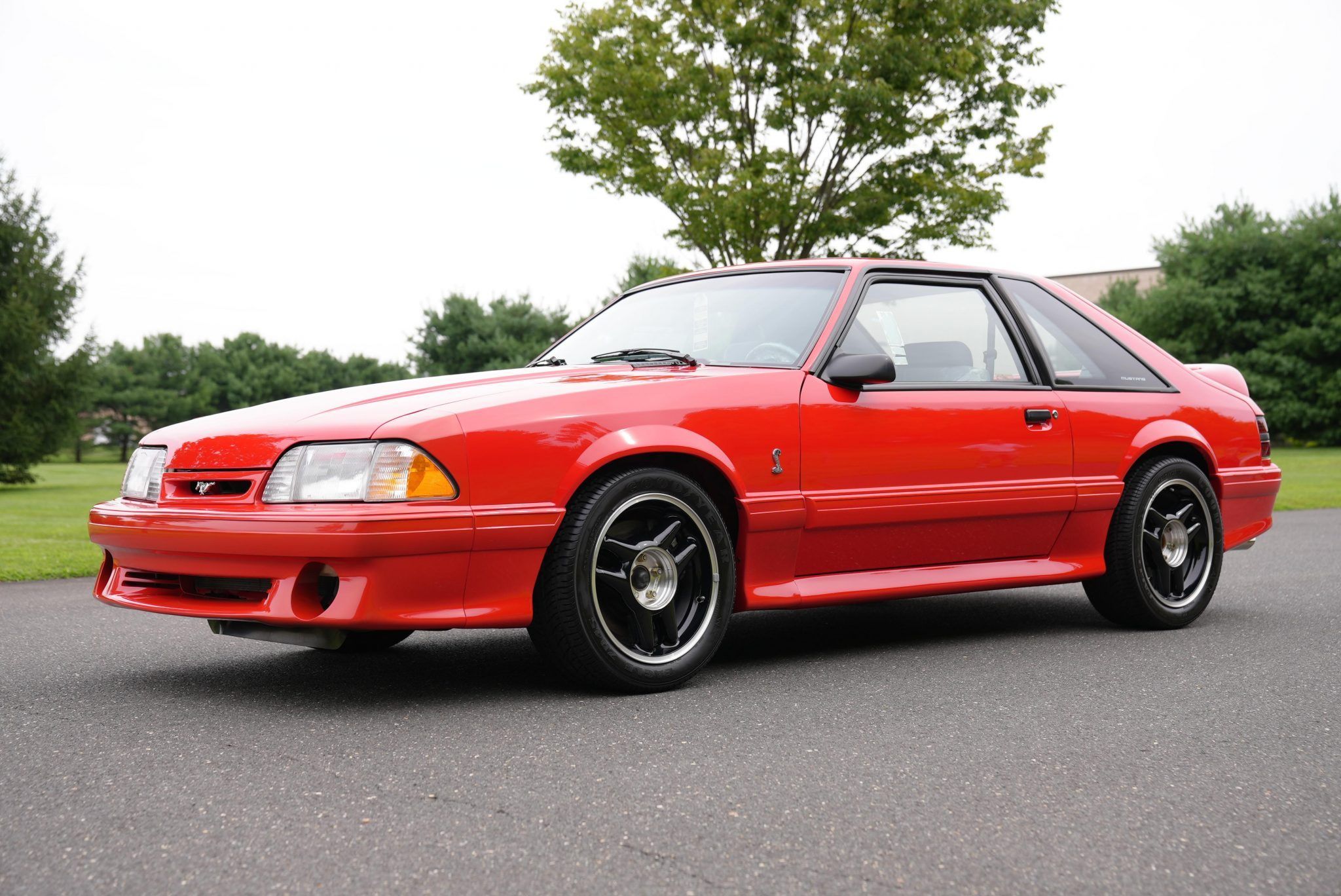 Weekly Treasure: 1993 Ford Mustang SVT Cobra R