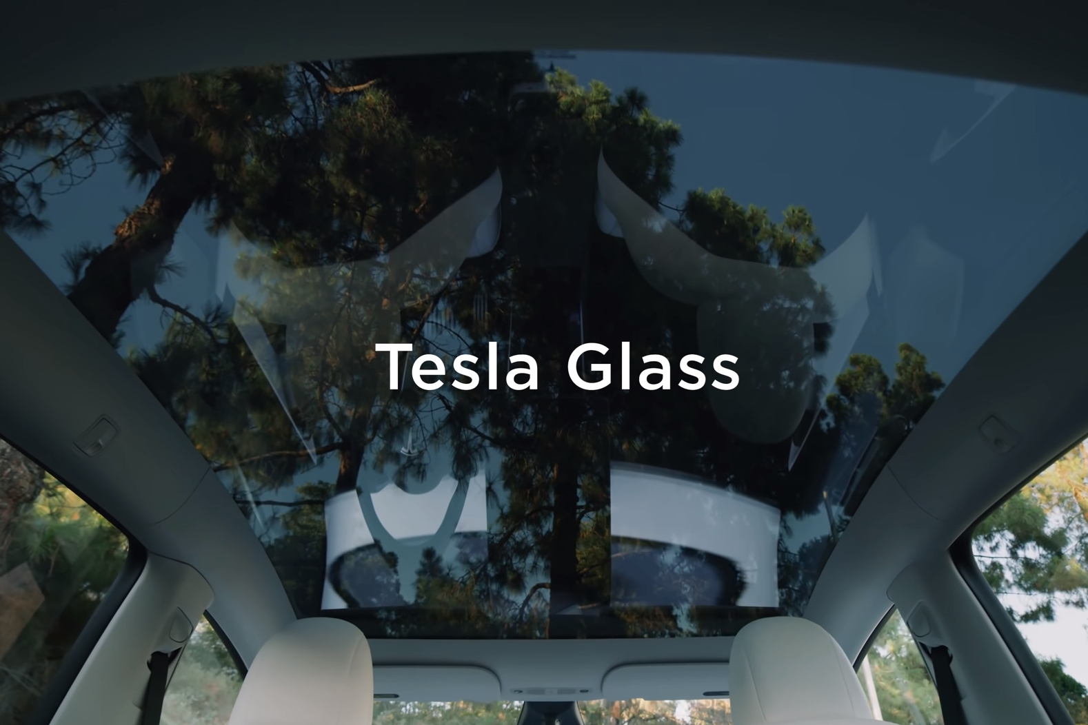 Trumps Tesla Support The Inside Story You Need To Read - rmbs343